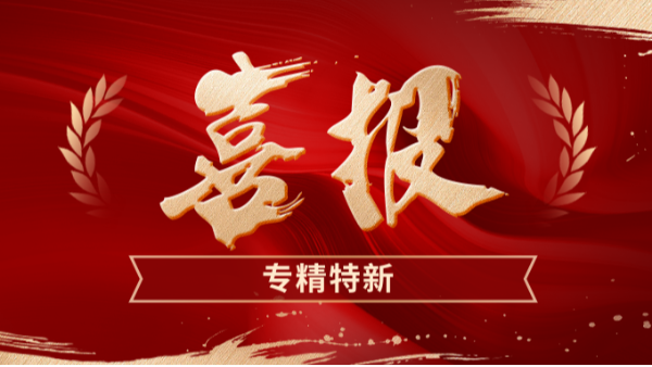 再度入选！乐动入口获评“深圳市专精特新中小企业”认定