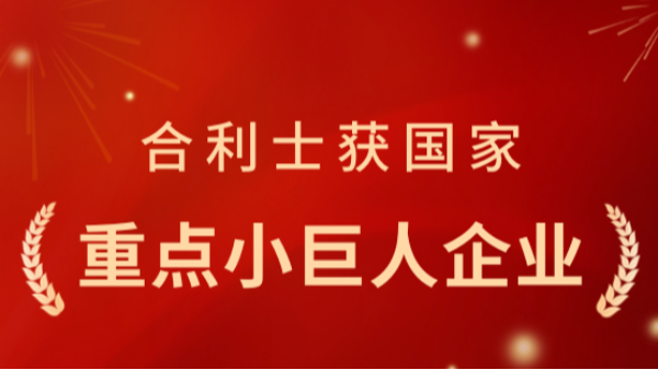 从小巨人到重点小巨人：乐动入口凭什么再获国家认可？